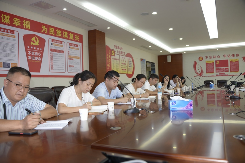 湛江市工信局第一支部与龙健高新科技产业园党支部互动交流 (6).JPG